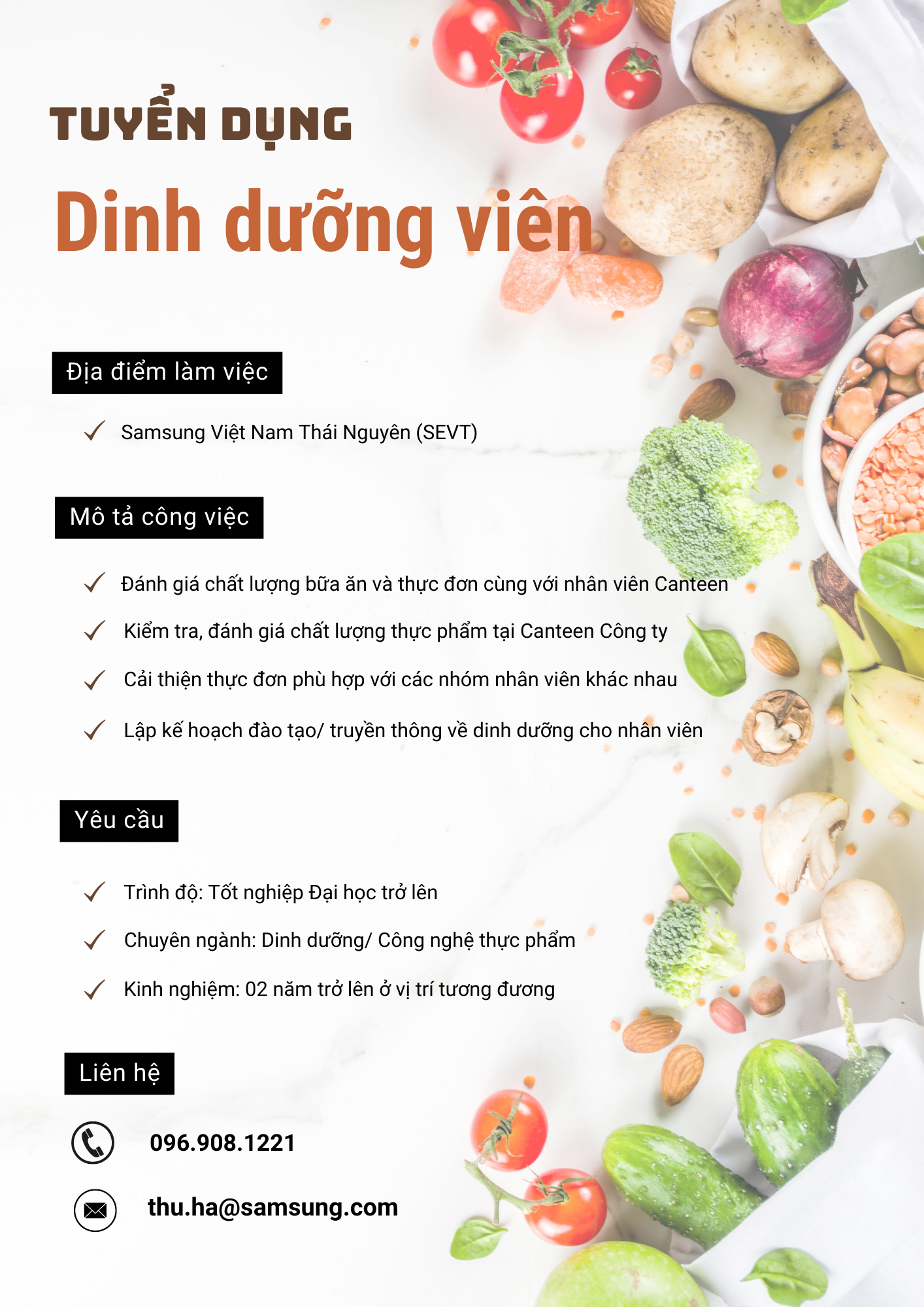 lĩnh vực hoạt động
